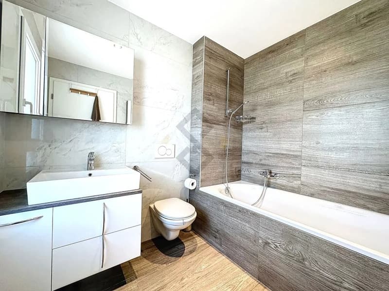 House 4.5 rooms with independent studio (10)