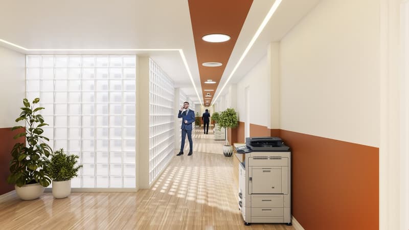 modern hallway, wooden floor, beige wall, orange accent wall, white glass wall, two potted plants, photocopier