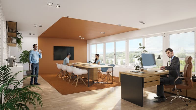 Meeting room with wooden floor, meeting table, chairs, television, windows, plants, coffee machine, and office desk.
