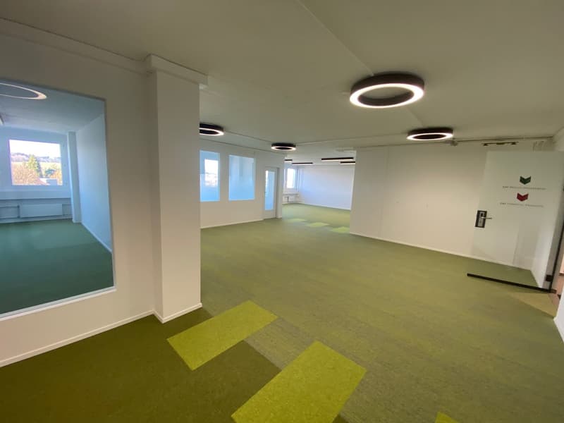 empty room, white walls, green floor, ceiling lights, glass walls, 3 windows