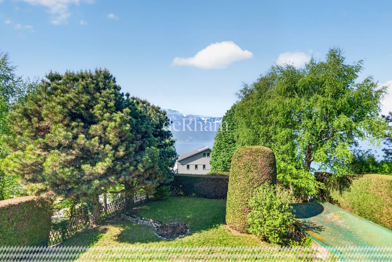 Exceptional individual property with great potential (9)