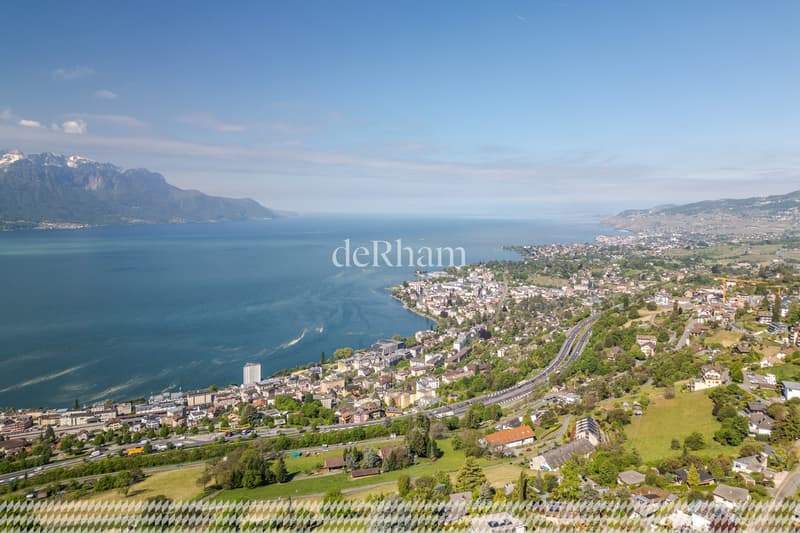 Exceptional individual property with great potential (8)