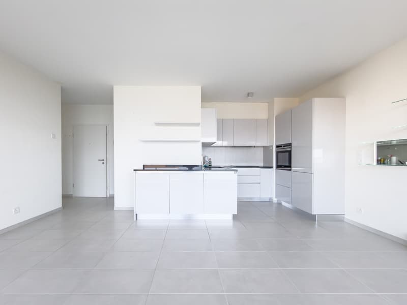 Apartment with 3.5 rooms facing the lake (3)