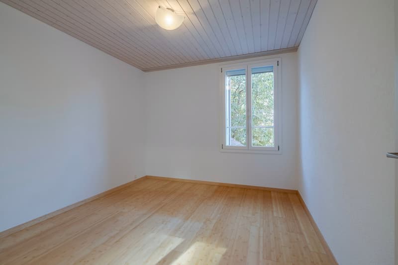 Moderne, neu renovierte Wohnung im Hochparterre (5)
