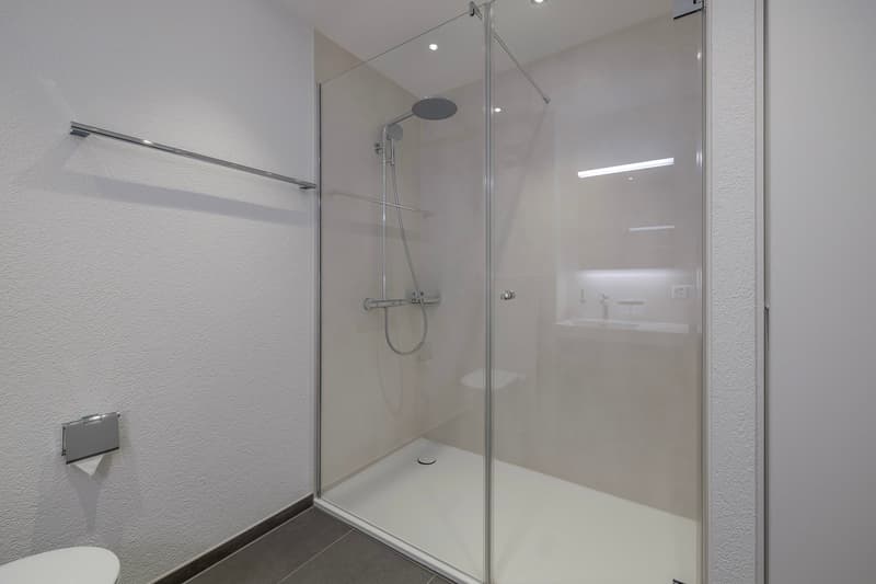 Moderne, neu renovierte Wohnung im Hochparterre (8)