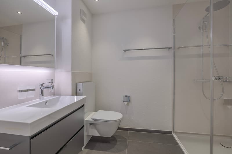 Moderne, neu renovierte Wohnung im Hochparterre (7)