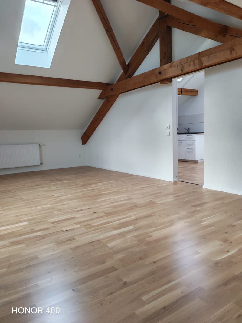 Charmante 3-Zimmer-Dachwohnung an der Hauptstrasse in Biezwil (4)