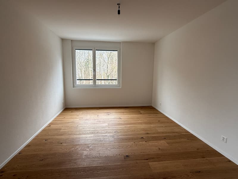 empty room, white walls, wooden floor, window