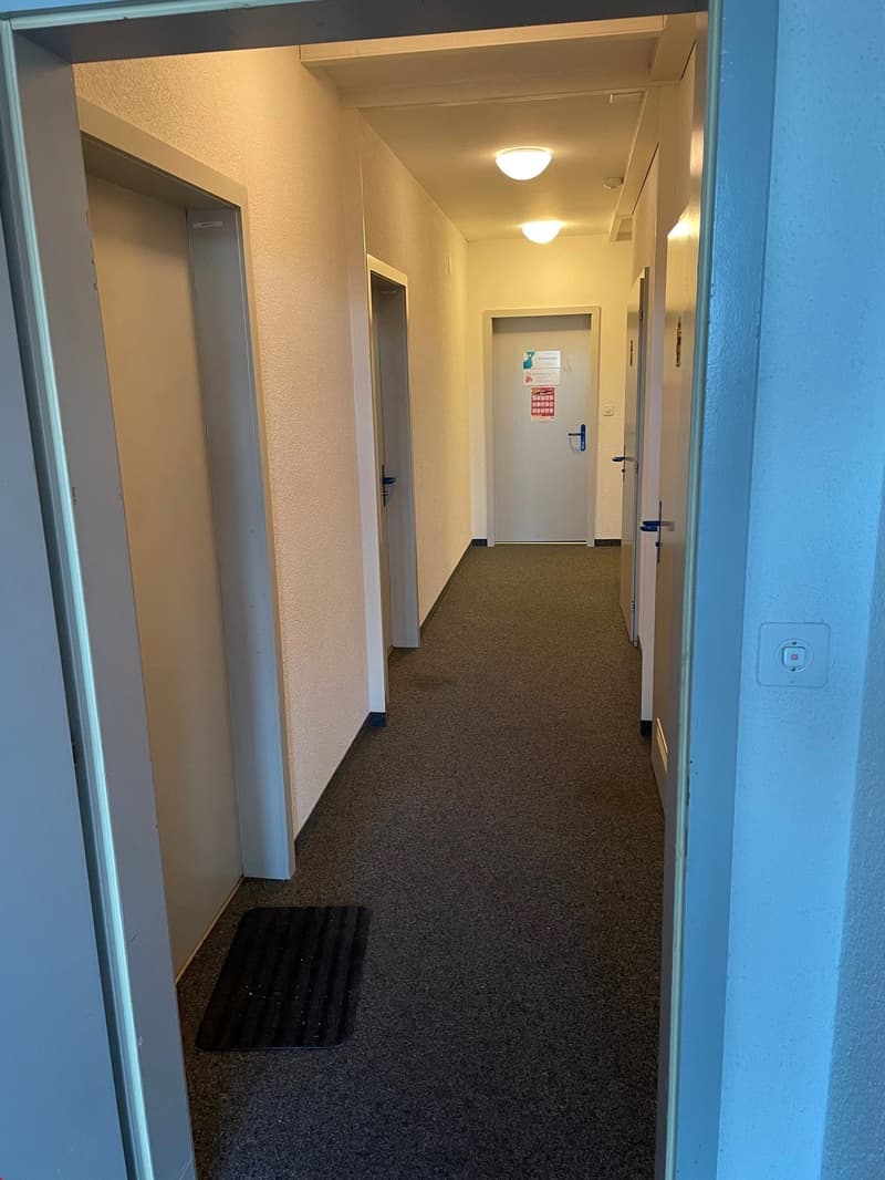 carpeted hallway, beige walls, white doors, lights on the ceiling
