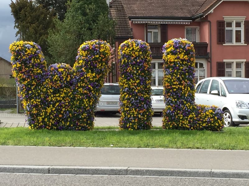 Zentraler Parkplatz im Freien in Wil SG (3)