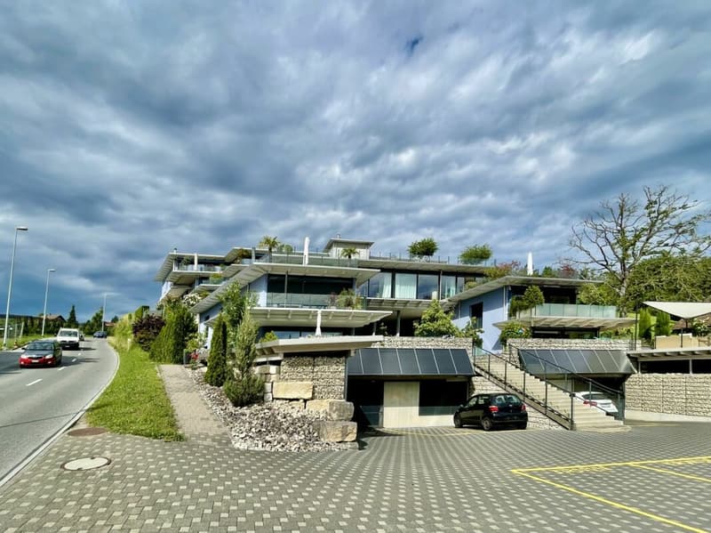 Exclusive 4.5-room apartment with large garden terrace, panorama & plenty of privacy in Hallwilersee (8)