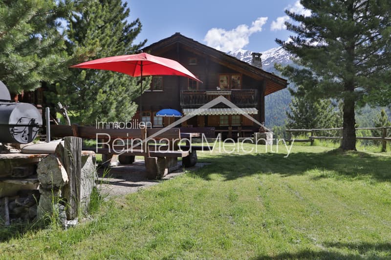 Traumhaus oberhalb von Zermatt  - Ein alpines Paradies zu verkaufen (3)