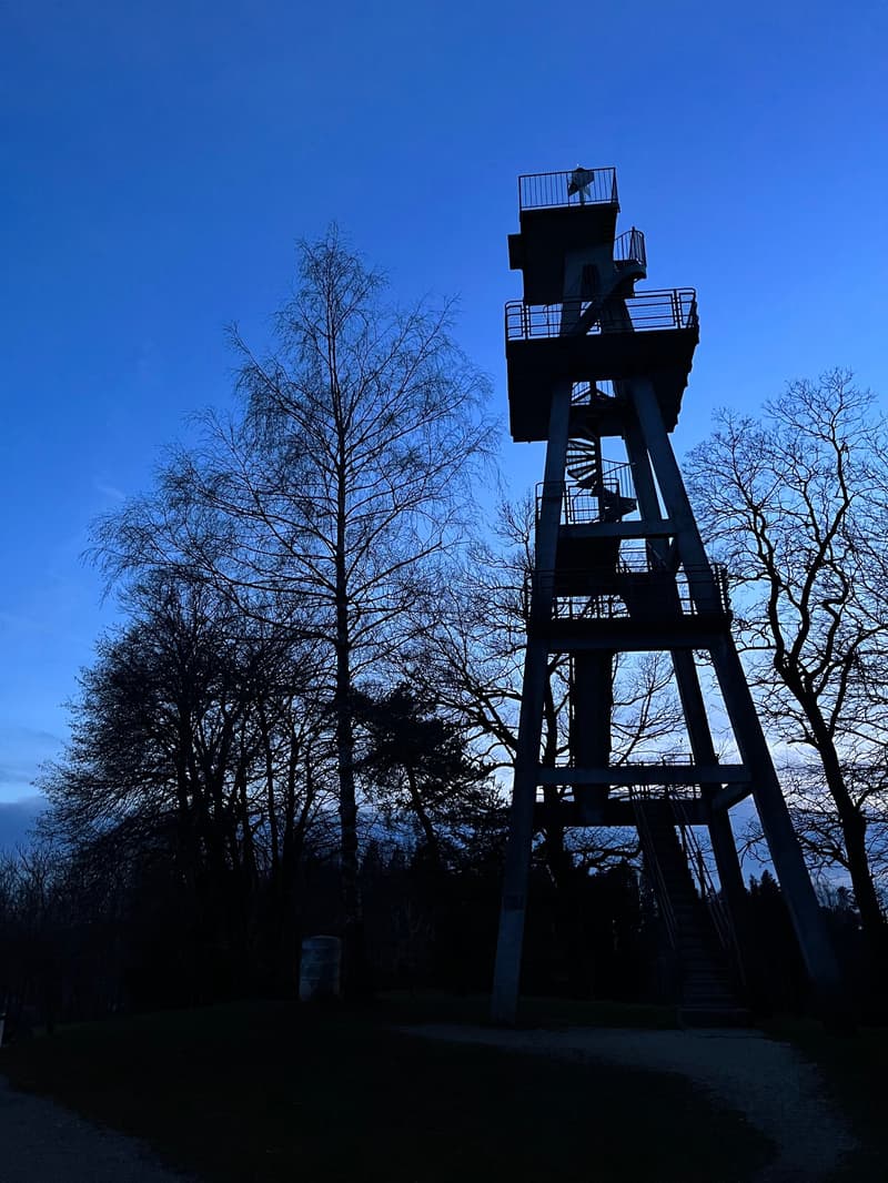 a tall tower with several levels and staircases, surrounded by bare trees, and located in a park