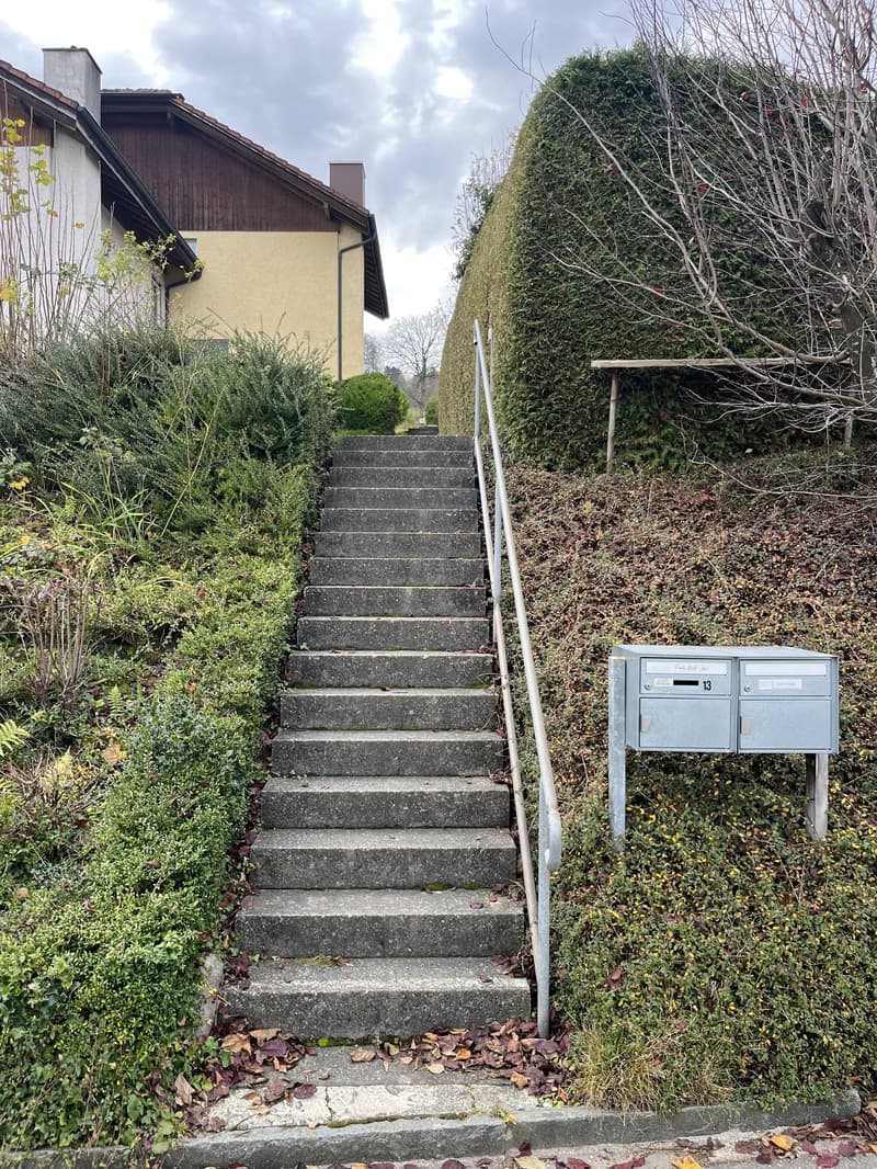 Ascending staircase leading up to the house with concrete steps, metallic railing, hedges on both sides.