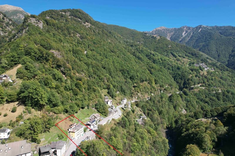 Mountain village houses, road leading to the houses, trees surrounding the area