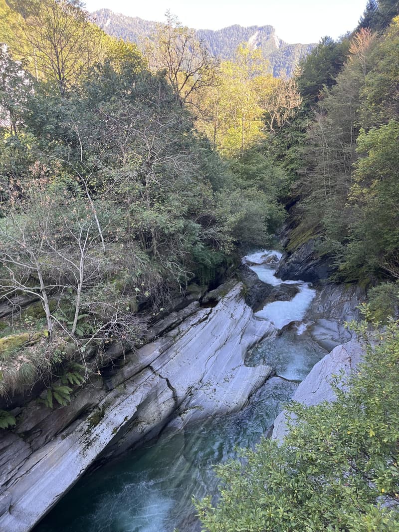 Rocky riverbank, flowing river, dense forest, mountain in background