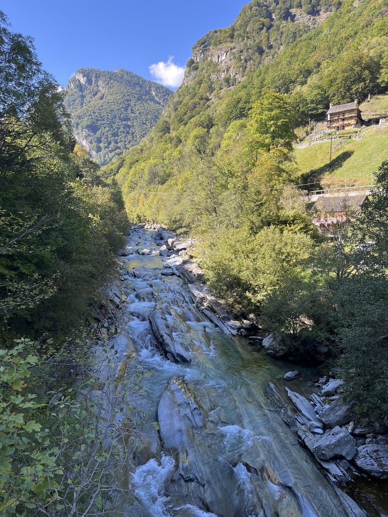 Stream with rocky terrain, surrounded by lush green trees and mountains in the background