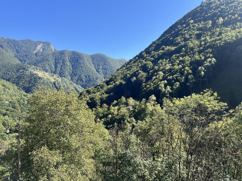 greenery, mountains, trees, view