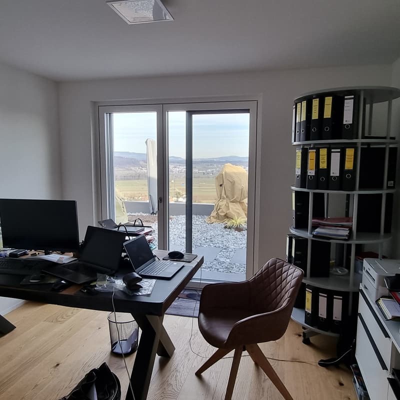 office desk, office chair, sliding glass door, window, wooden floor, shelf, computer monitor