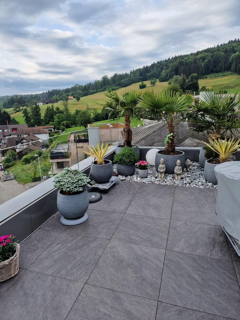 A well-maintained rooftop garden with various potted plants, gravel, and a scenic view of the surrounding area