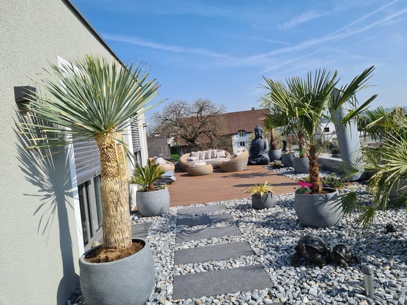 Wooden deck, patio with seating, large potted plants, Buddha statue, pebble pathway, gravel ground, a few small trees