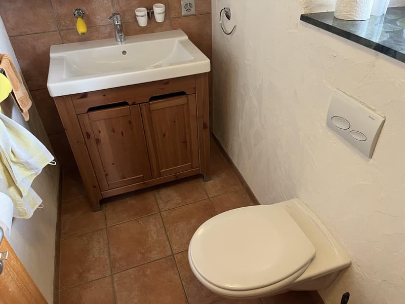 Small bathroom with a white sink, wooden cabinet, white toilet, tiled floor, brown walls
