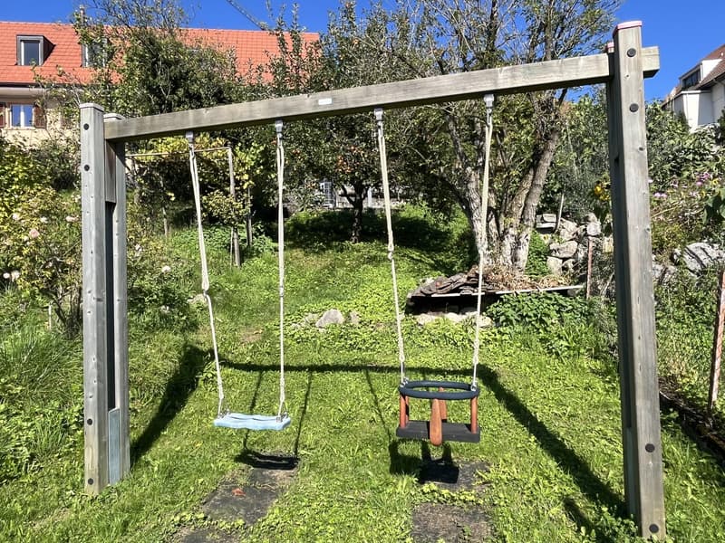 Grass field, two wooden swings attached to wooden frame, blue and red seats, red and black seat, two houses in the background, apple trees, bushes, fence, pile of stones