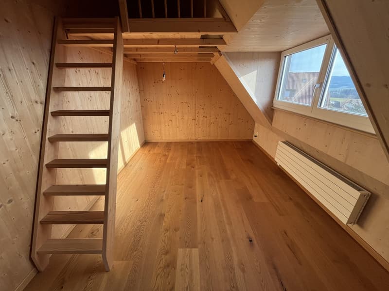 wooden walls, wooden floors, ladder, small window