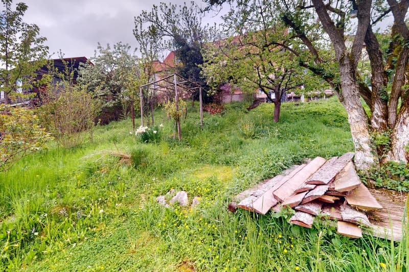 wooden structure, piles of wood, green lawn, yellow flowers, bushes, trees