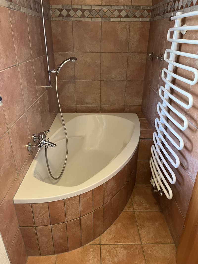 oval bathtub, shower head, towel radiator, brown tiles