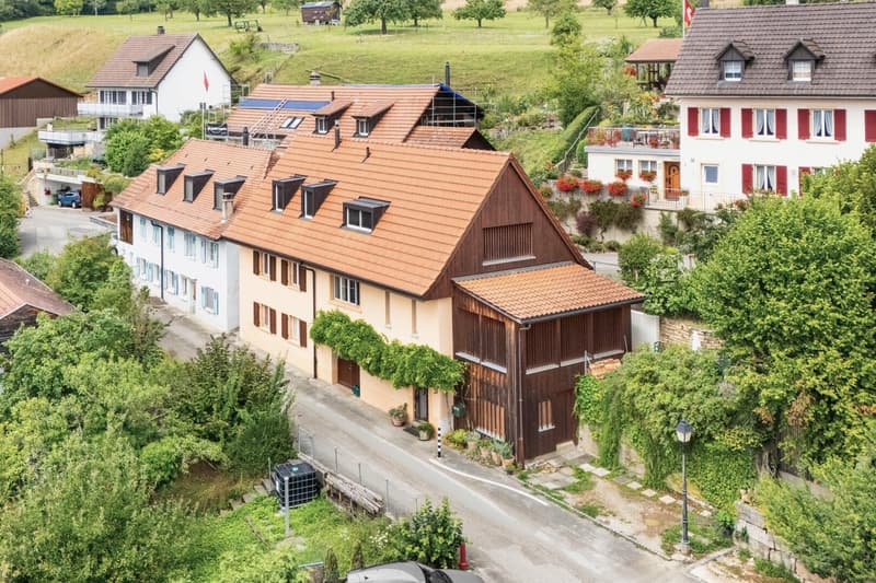 Detached houses, surrounded by greenery, brown roof, different styles and sizes, Swiss flag visible, parked car in front