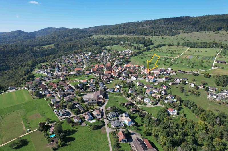 Cluster of houses surrounded by fields and hills, with various sized houses and roofs