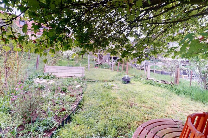 Backyard garden with plants and shrubs, a wooden bench, swings, a wooden table and a grill.