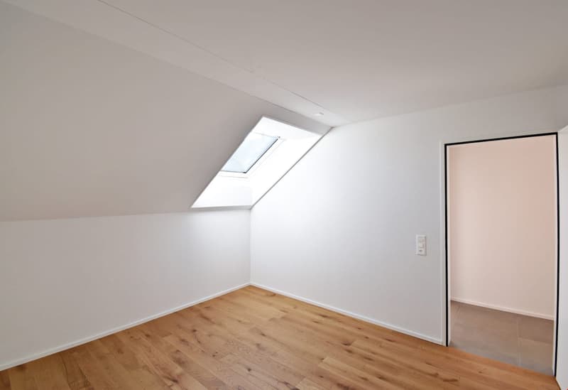 empty room, wooden floor, white walls, skylight, door