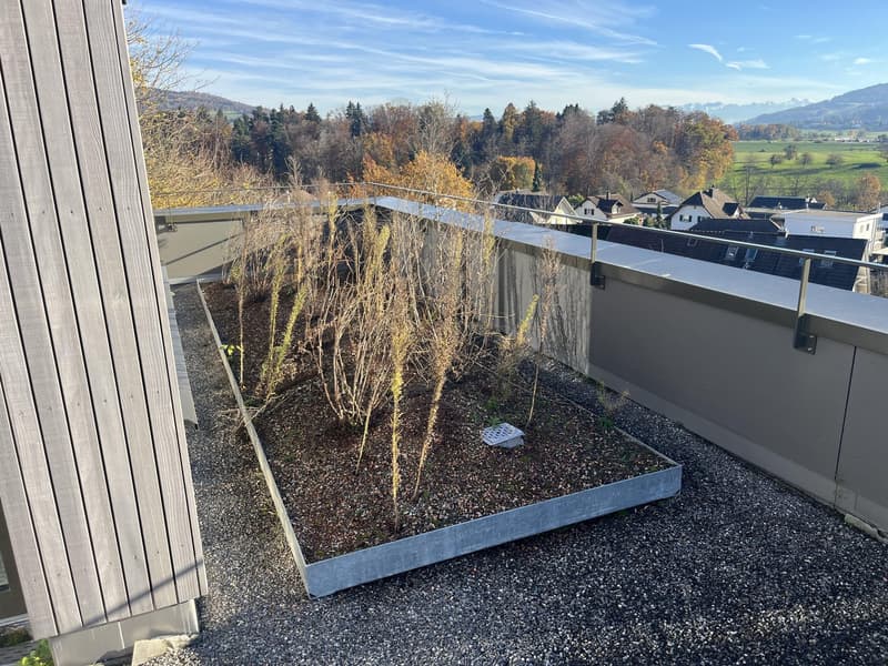 Attic apartment with large terrace including two underground parking spaces in a quiet location. (15)