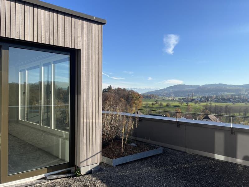 Attic apartment with large terrace including two underground parking spaces in a quiet location. (16)