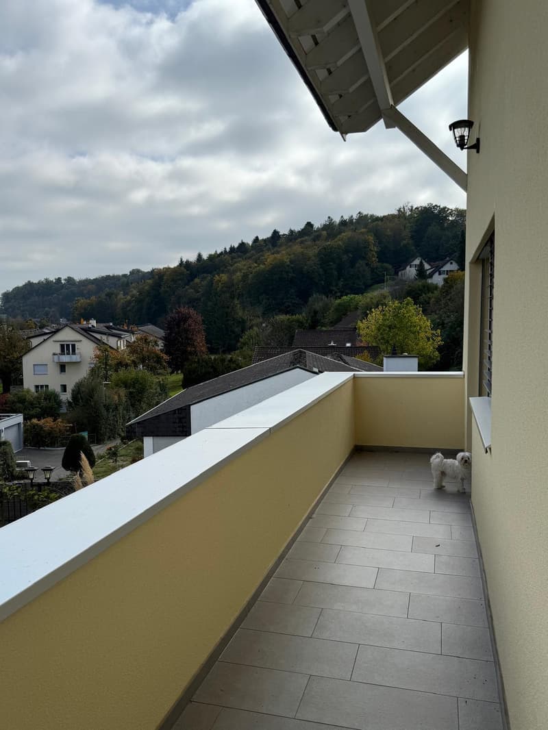 Zwei-Generationen-Haus an ruhiger Hanglange. (23)
