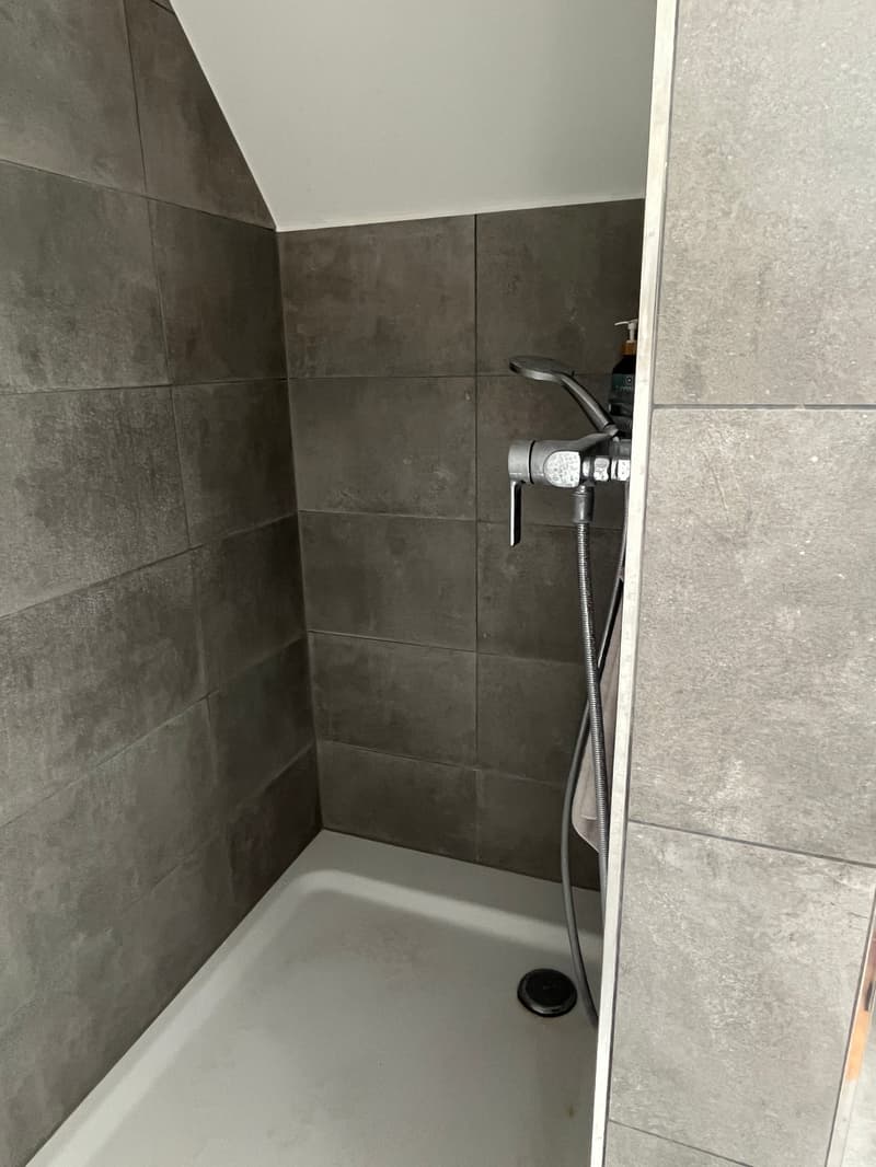 Single-family house in a quiet location with optimal public transport connections. (17)