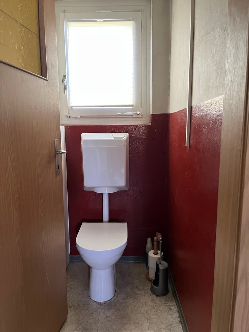 Single-family house in a quiet location with optimal public transport connections. (11)