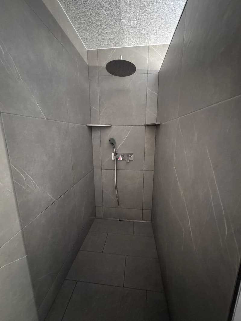 Maison unifamiliale exclusive avec appartement pour personnes âgées en location calme. (20)