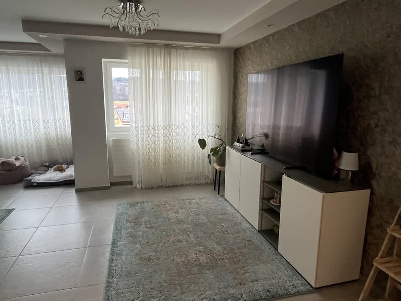 Maison unifamiliale exclusive avec appartement pour personnes âgées en location calme. (14)