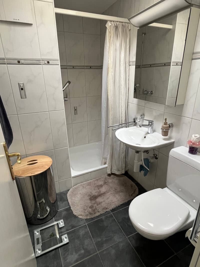 Appartement en attique de 4,5 pièces ensoleillé avec grande terrasse et place de parking dans le garage souterrain. (14)