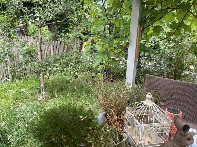 Small house (2.5 rooms, as good as new) with garden in an idyllic location in the holiday village of Walde (with outdoor pool). (26)