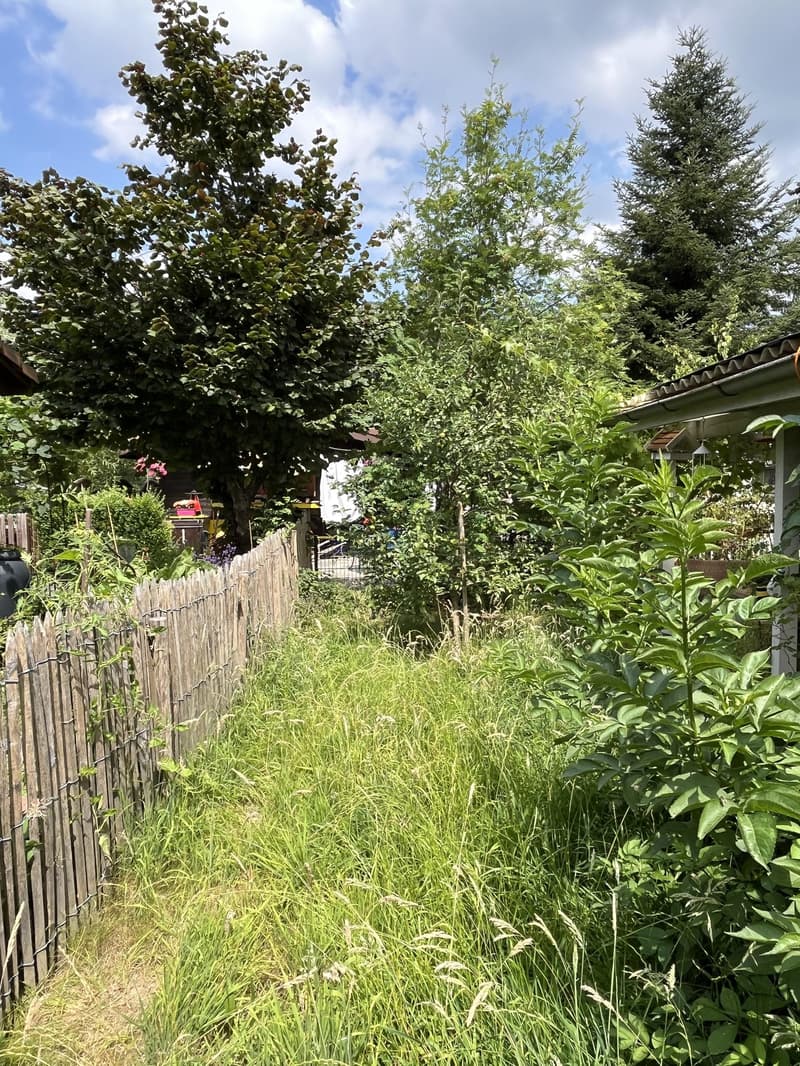 Small house (2.5 rooms, as good as new) with garden in an idyllic location in the holiday village of Walde (with outdoor pool). (24)