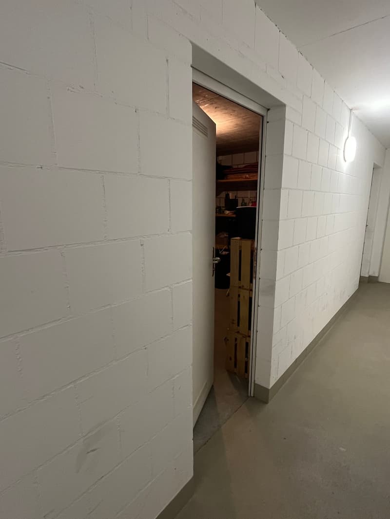 Appartement en attique de 4,5 pièces ensoleillé avec grande terrasse et place de parking dans le garage souterrain. (20)