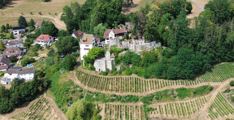 Trostburg in Teufenthal.