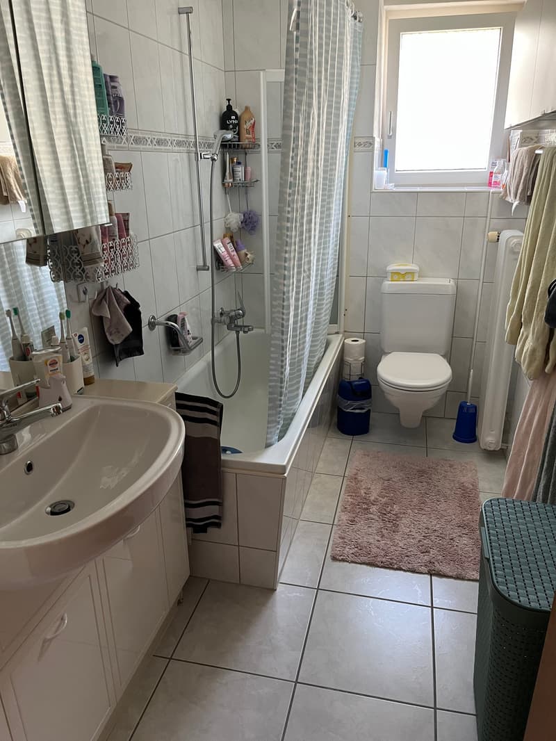 Casa multifamiliare con 4 appartamenti in una posizione incantevole direttamente sul fiume Aare. (13)