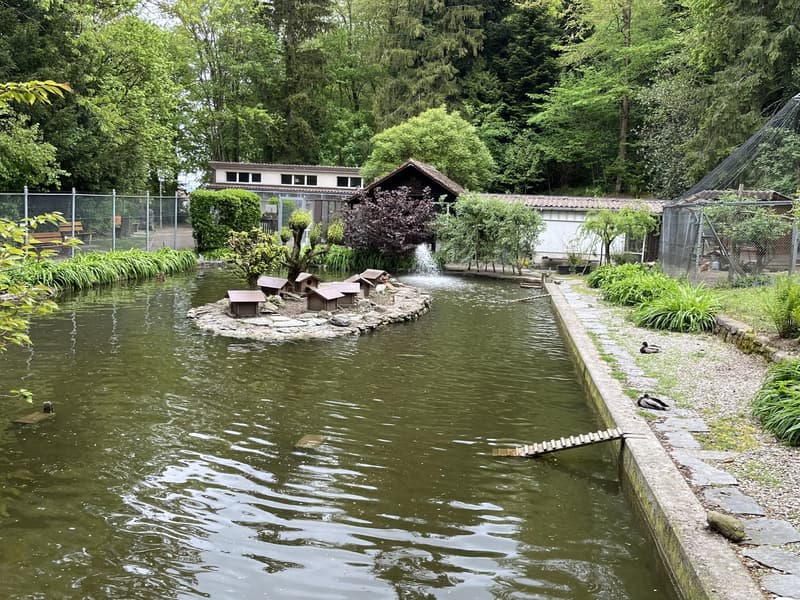 Schöner kleiner Platz mit Entenweiher und Volièren in nächster Nähe.