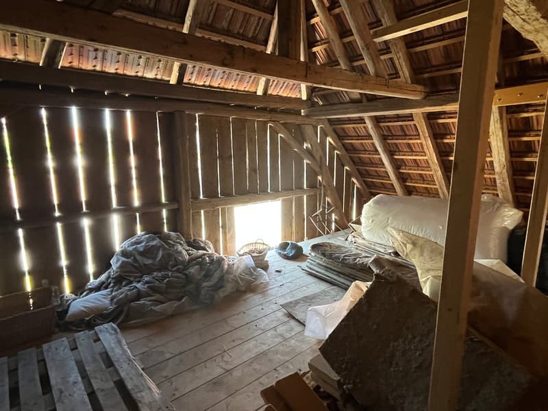Bauernhausteil zum selber fertig ausbauen an ruhiger Lage mit schönem Garten. (18)