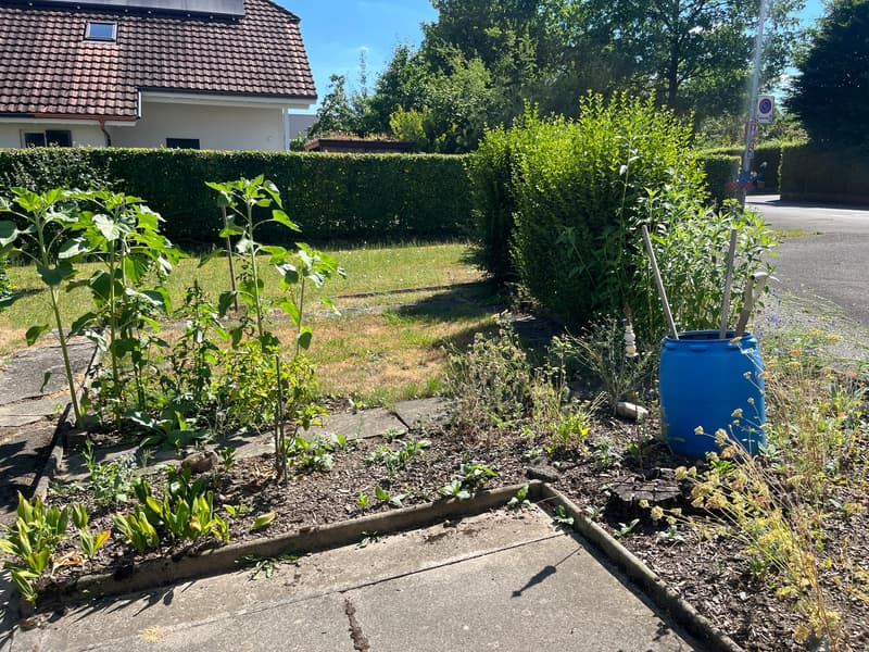 Einfamilienhaus mit angebautem, ausbaubarem Hausteil an schöner Lage. (21)